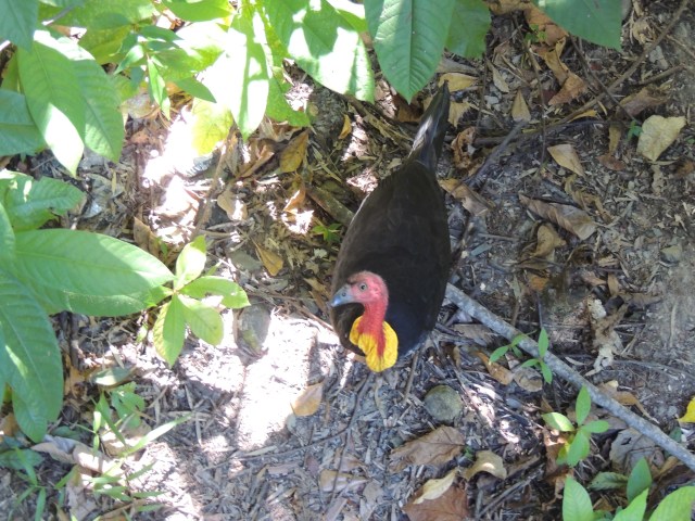 D6A5FFD9-162A-407B-A6D3-CB63001753DB